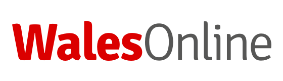 WalesOnline: logo (not affiliated)